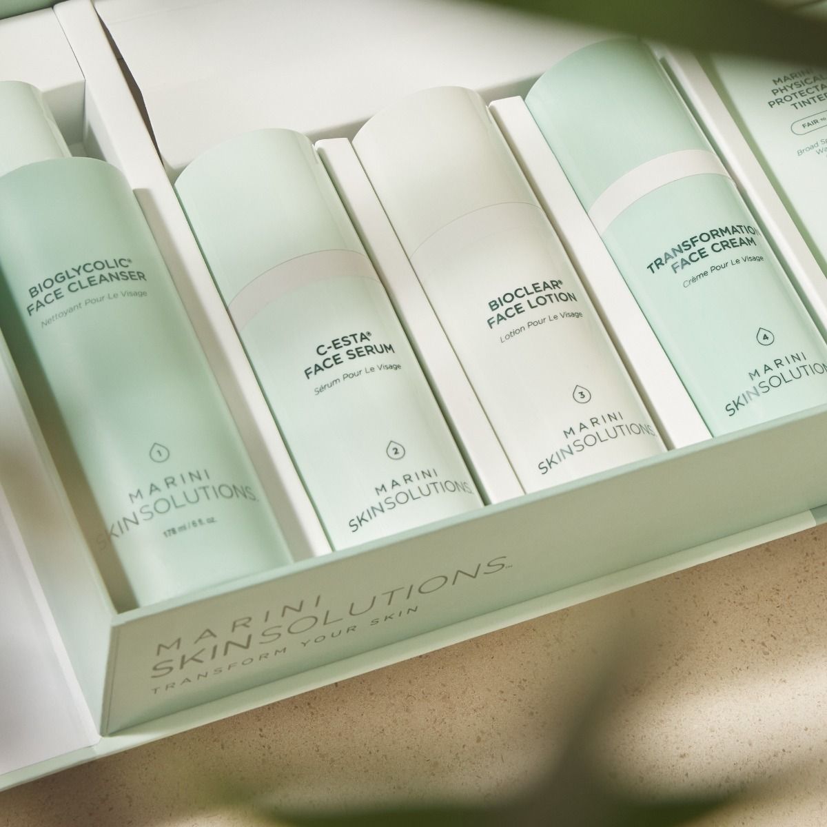 Jan Marini Skin Care Management System™ – Normal/Combination with Antioxidant Daily Face Protectant SPF 33